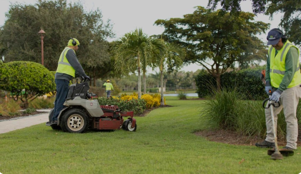 IMG_6854 landscaping maintenance